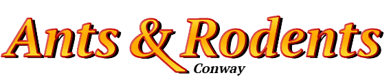 Conway Ant Exterminator & Rodent Control Company Logo